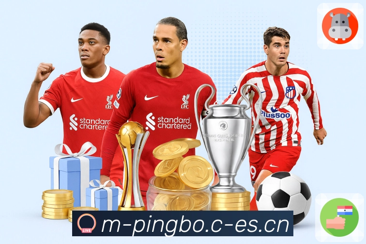 回放集锦与专题内容